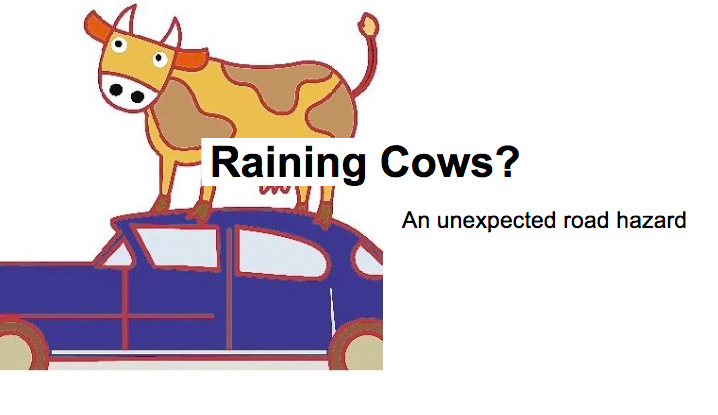 Raining cows